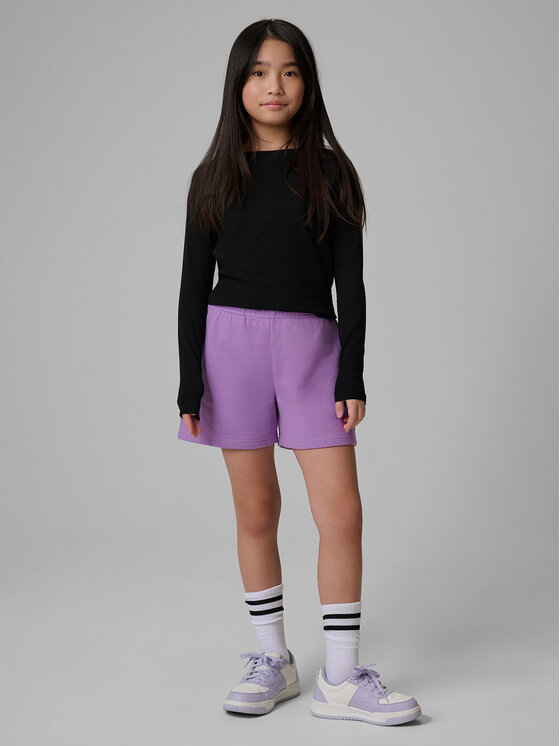 4F 4F Szorty sportowe BASIC+ Fioletowy Regular Fit