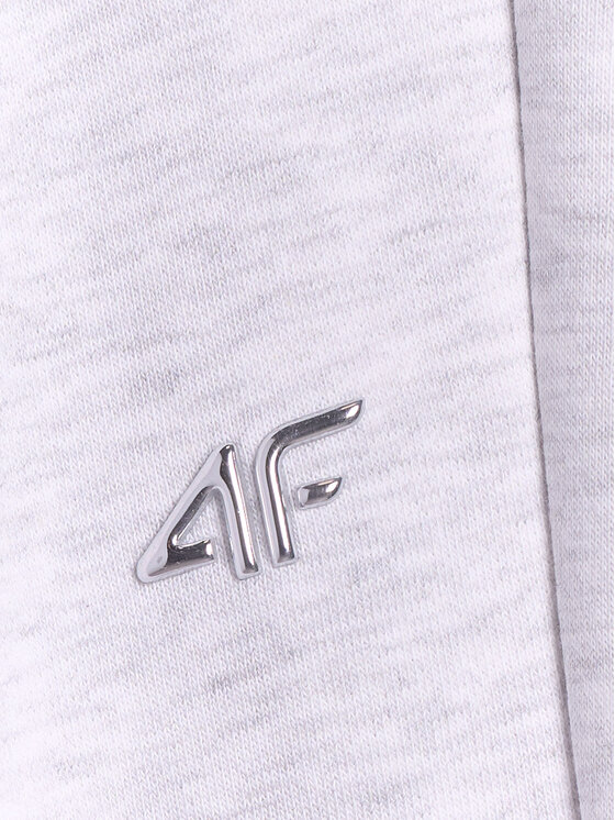 4F 4F Spodnie dresowe basic Szary jasny Regular Fit