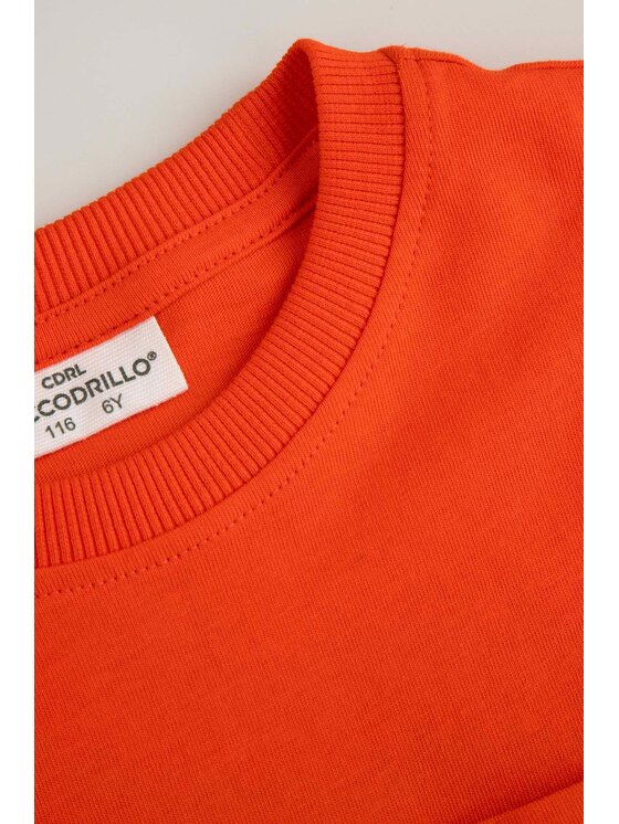 Coccodrillo Coccodrillo T-Shirt ZC5143201SBK-009 Červená Regular Fit