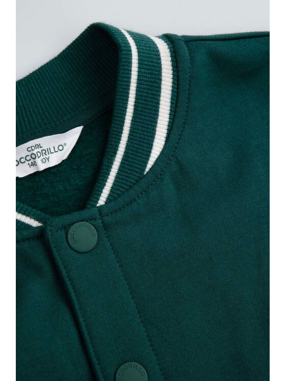 Coccodrillo Coccodrillo Mikina ZC5132602ABJ-011 Zelená Regular Fit
