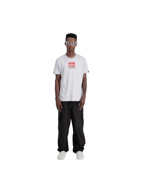 Alpha Industries Alpha Industries T-Shirt AI.148513 Szary Regular Fit