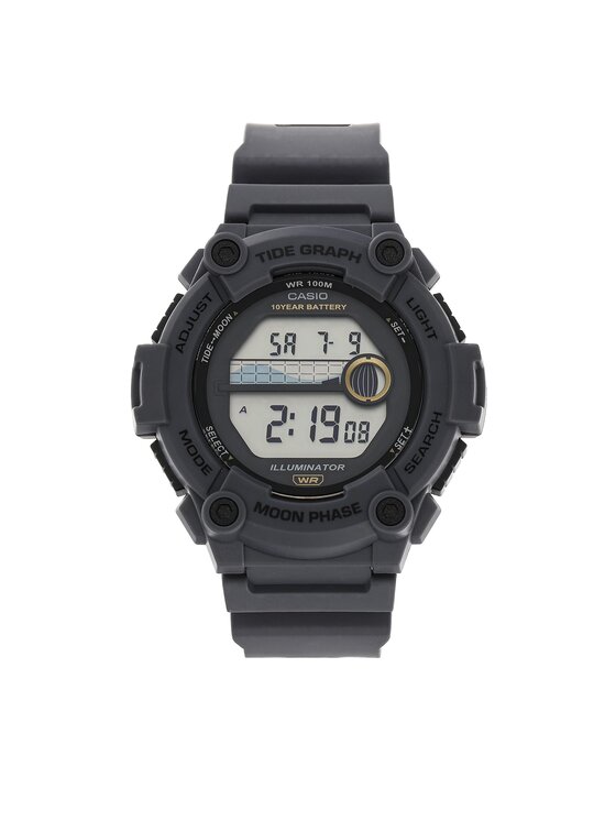 Pánské Hodinky Casio, Barva: Šedá, WS-1300H-8AVEF