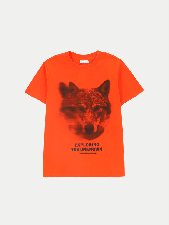 Coccodrillo Coccodrillo Tricou ZC4143201FBJ Roșu Regular Fit