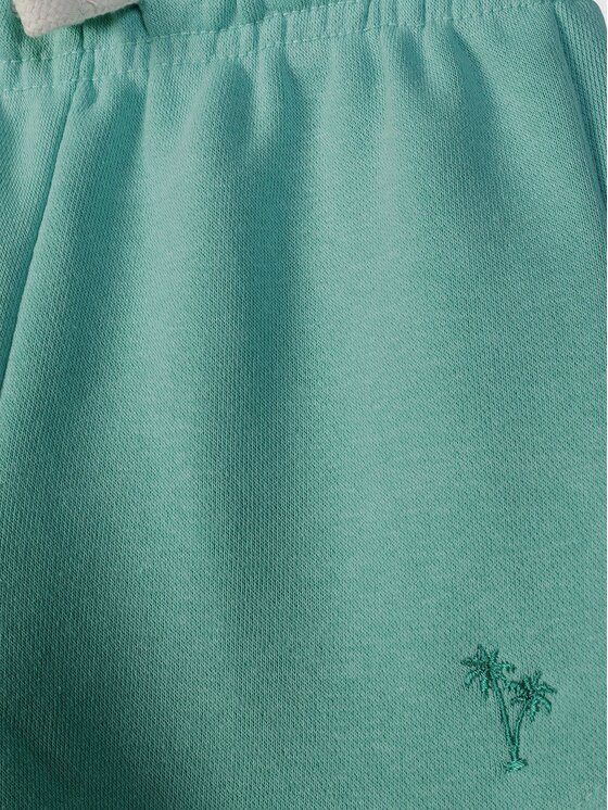minoti minoti Szorty 30FLEECE175 Zielony Regular Fit