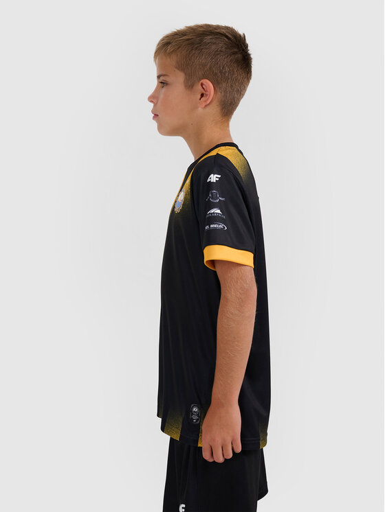 4F 4F Koszulka techniczna TEAMWEAR Kolorowy Regular Fit
