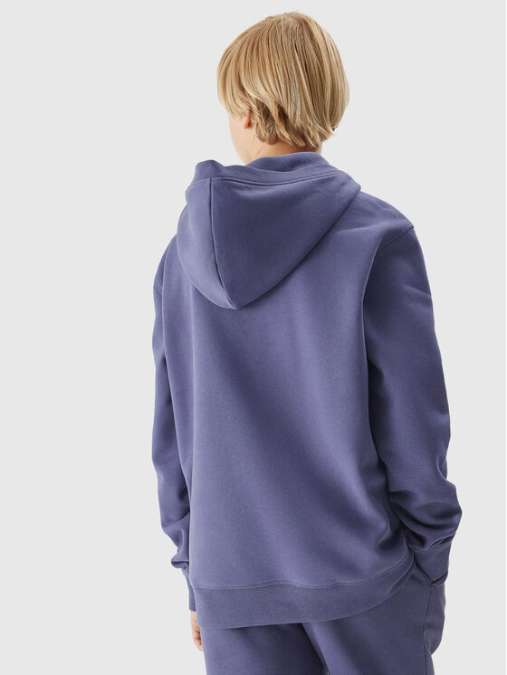 4F 4F Bluza 4FJAW23TSWSM652 Niebieski Regular Fit