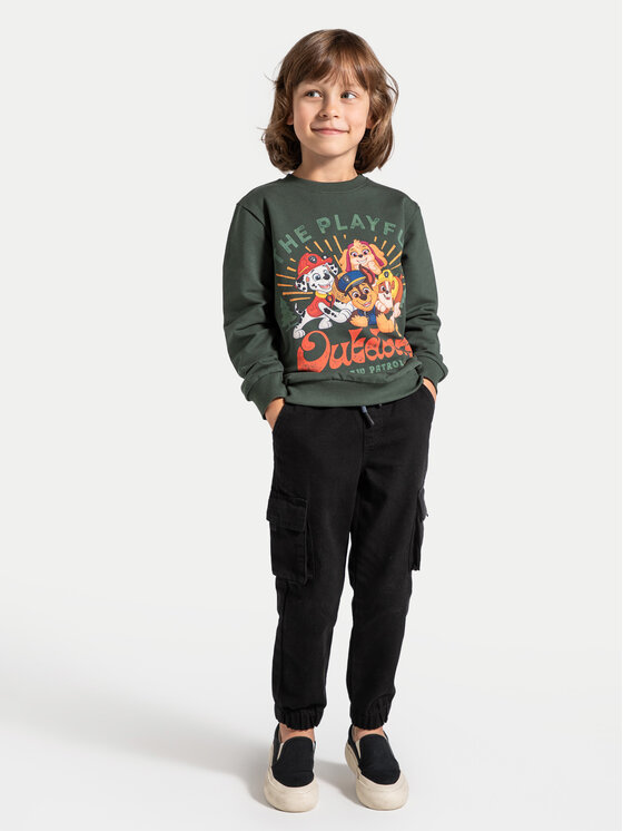 Coccodrillo Coccodrillo Sweatshirt ZC4132101LBD Grün Regular Fit