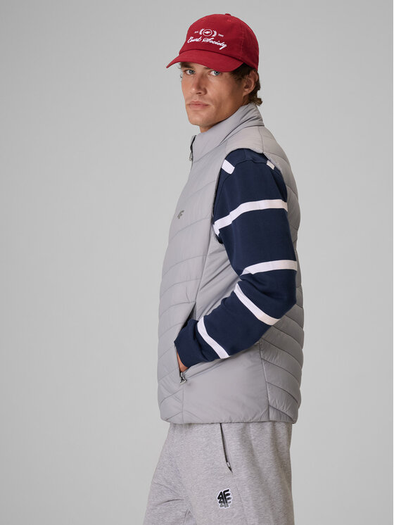 4F 4F Kamizelka BASIC+ Szary Regular Fit
