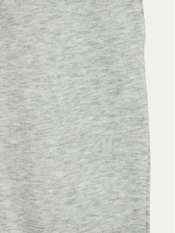 4F 4F Donji dio trenerke 4FJWMM00TTROF0828 Siva Regular Fit