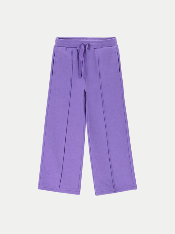 Coccodrillo Pantaloni trening ZC4120101AGK Violet Regular Fit