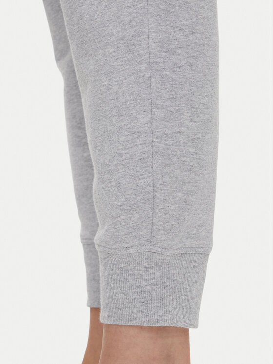 DKNY Sport DKNY Sport Jogginghose DP5P3496 Grau Regular Fit