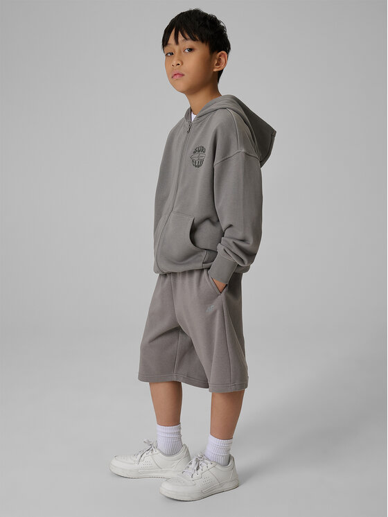 4F 4F Szorty sportowe WAVE RIDERS CLUB Szary Loose Fit