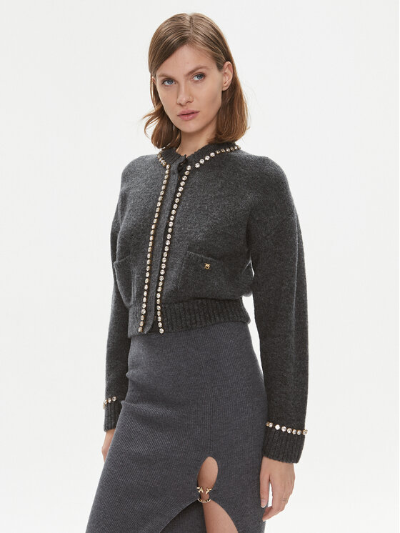 PINKO Pinko Strickjacke Murena 102115 A18O Grau Regular Fit