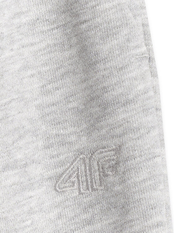 4F 4F Spodnie dresowe BASIC+ Szary Oversize