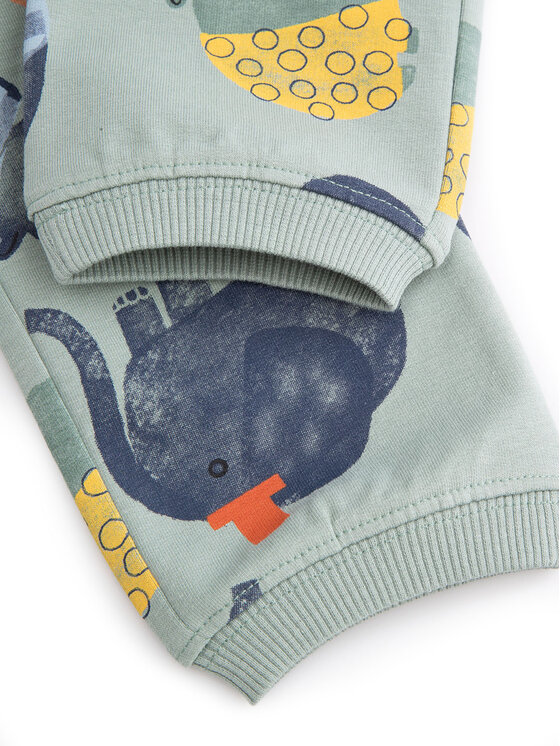 Coccodrillo Coccodrillo Spodnie dresowe WC5120102SBN Zielony Regular Fit