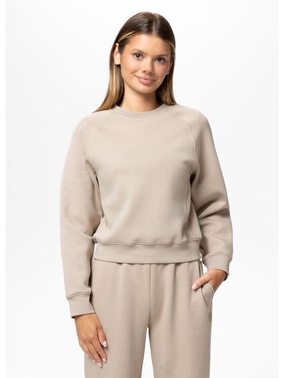 PITBULL PITBULL Bluza Discovery Brązowy Regular Fit