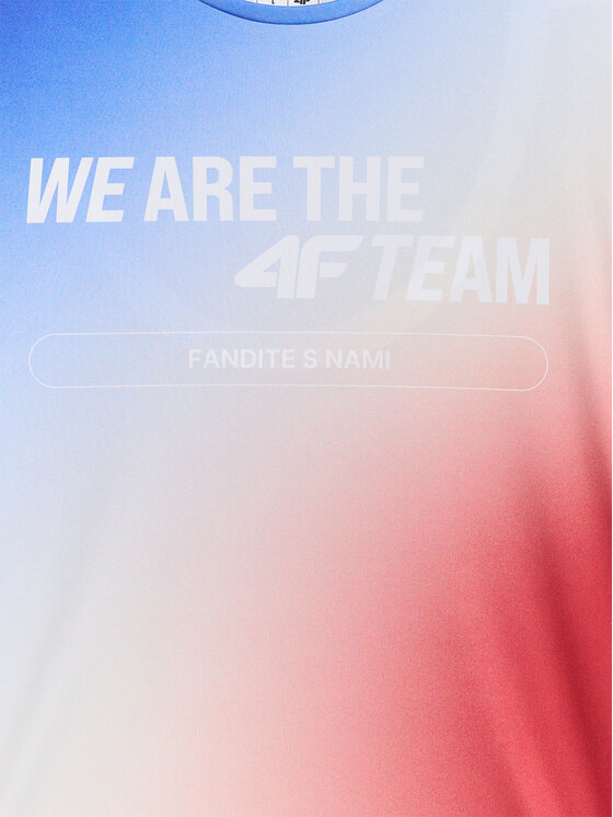 4F 4F T-Shirt TEAMWEAR Kolorowy Regular Fit