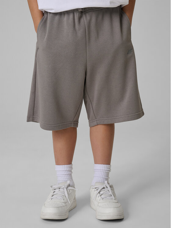 4F 4F Szorty sportowe WAVE RIDERS CLUB Szary Loose Fit