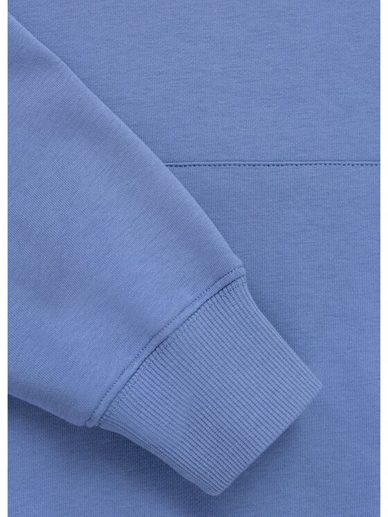 PITBULL PITBULL Bluza GENTLE BUT WILD Niebieski Regular Fit
