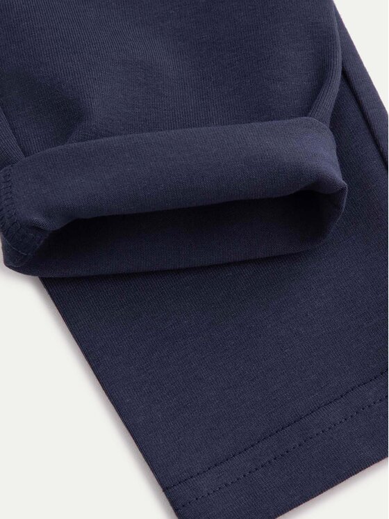 Coccodrillo Coccodrillo Legginsy XCX122101BAG Granatowy Slim Fit
