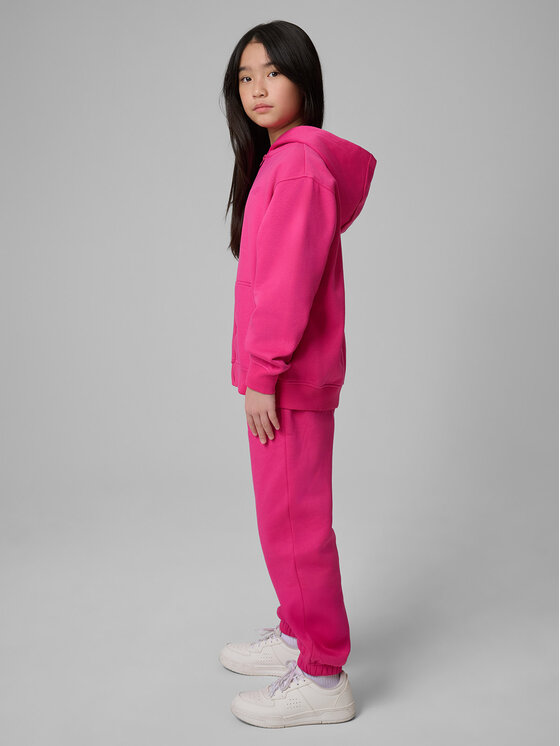 4F 4F Spodnie dresowe BASIC+ Różowy Regular Fit