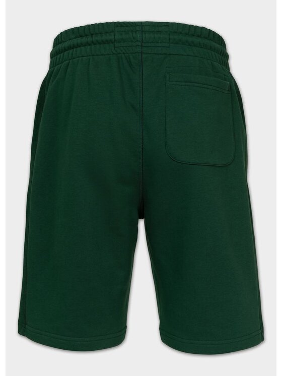PITBULL PITBULL Szorty sportowe BADGER Zielony Regular Fit