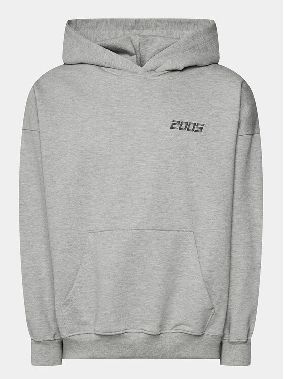 2005 2005 Bluza Unisex Basic Hoodie Szary Relaxed Fit