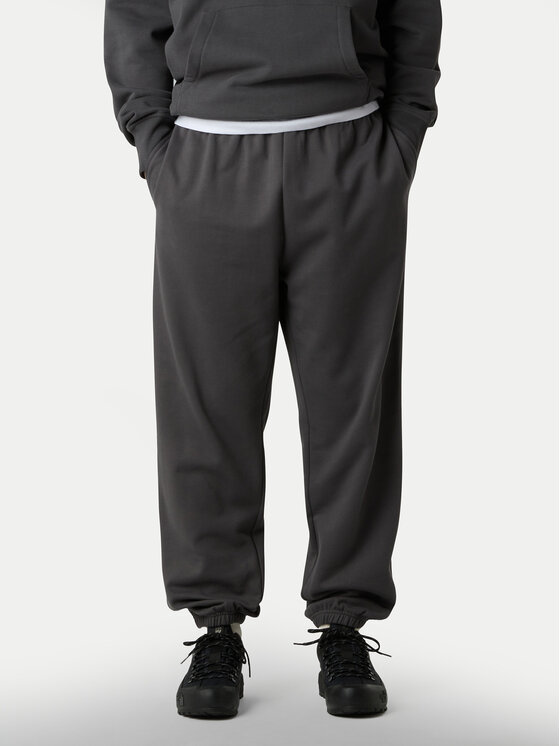 The North Face The North Face Pantaloni trening Expedition Celebration NF0A8E3E Gri Relaxed Fit