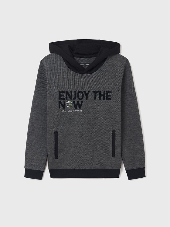 Felpa 7451 Grigio Regular Fit