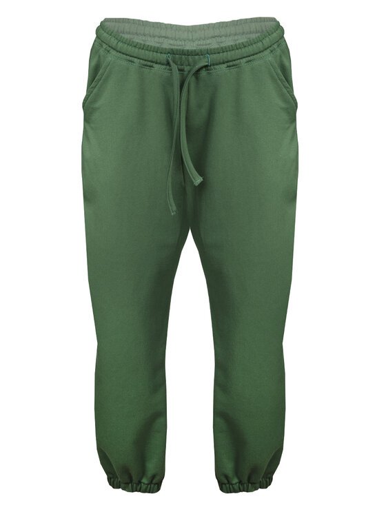 DKaren Sport DKaren Sport Spodnie materiałowe Wenezja Zielony Classic Fit