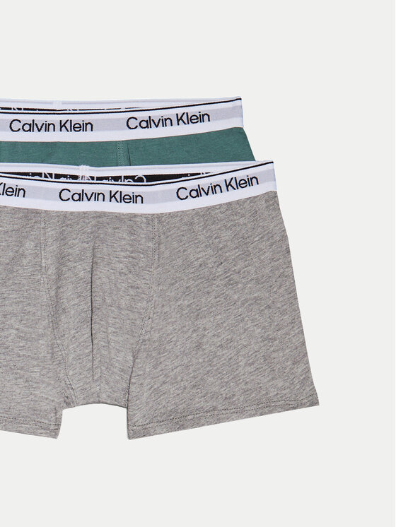Calvin Klein Underwear Calvin Klein Underwear Komplekti kuulub 2 paari boksereid B70B700490 Värviline