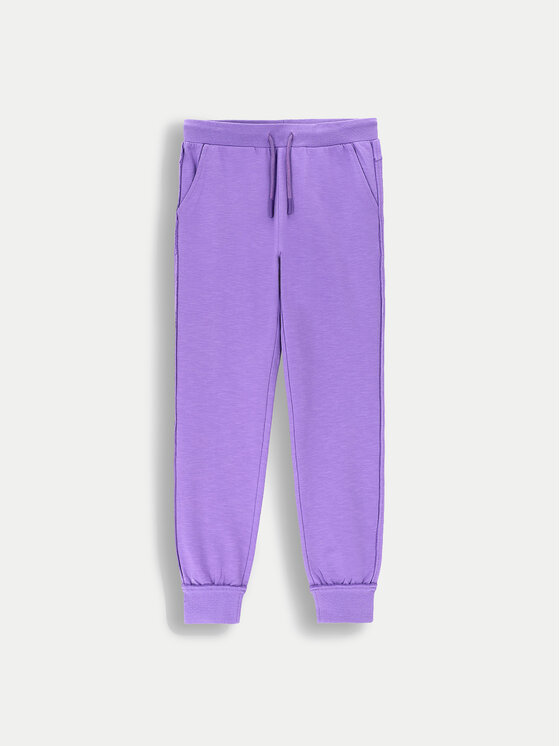 Coccodrillo Coccodrillo Sportinės kelnės ZC4120101VGA Violetinė Regular Fit