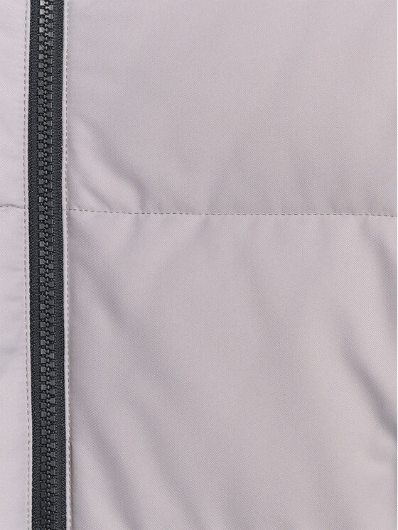 4F 4F Kurtka narciarska SKIWEAR Szary Regular Fit