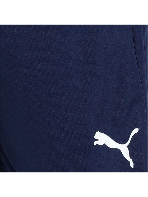 Puma Puma Szorty 27224 Niebieski Comfort Fit