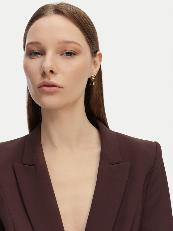 Elisabetta Franchi Elisabetta Franchi Kõrvarõngad OR-54A-57E2-V140 Kuldne