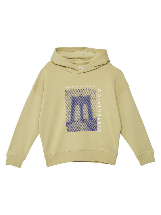 Calvin Klein Jeans Calvin Klein Jeans Džemperis Bridge LVCKSJB04B Žalia Oversize