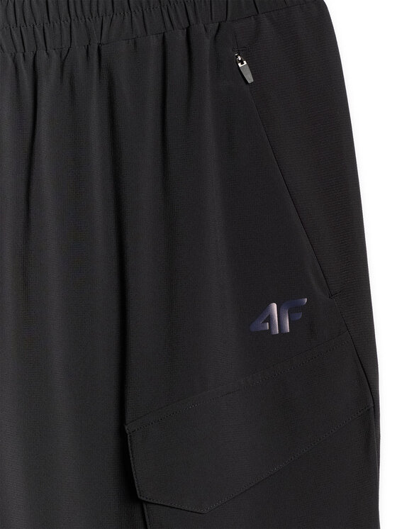 4F 4F Spodnie outdoor TREKKING Czarny Regular Fit