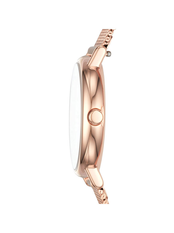Skagen Skagen Orologio Signatur SKW2694 Rosa