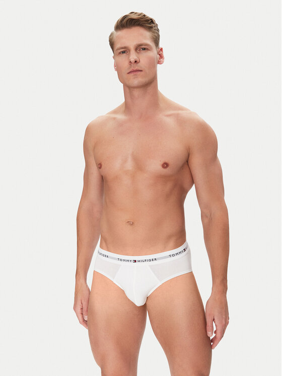 Tommy Hilfiger Tommy Hilfiger Komplekti kuulub 3 kombineed UM0UM03471 Värviline