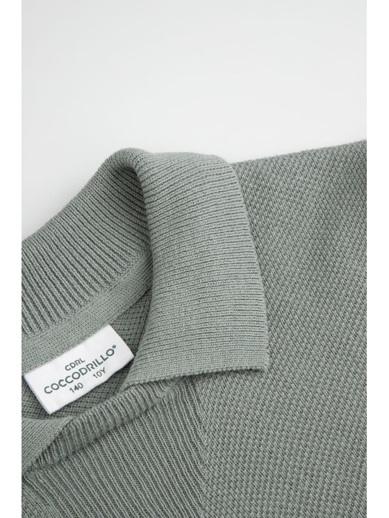 Coccodrillo Coccodrillo Tričko WC6172101EJB-012 Zelená Regular Fit