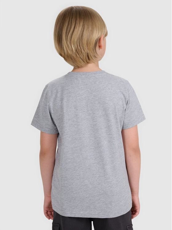 4F 4F T-Shirt BASIC+ Szary Regular Fit
