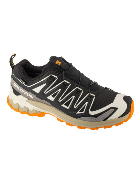 Salomon Salomon Buty do biegania XA Pro 3D v9 GTX Czarny