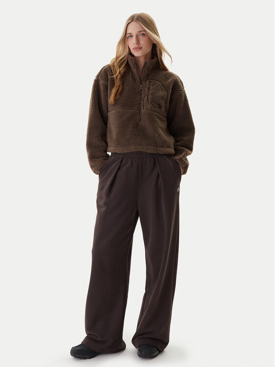 The North Face The North Face Flis Extreme Pile NF0A88ZC Smeđa Regular Fit