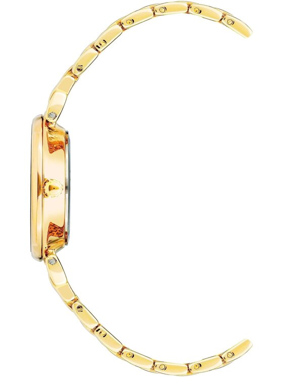 Anne Klein Anne Klein Zegarek AK-2158MPGB Złoty