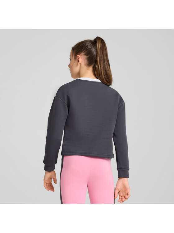 Puma Puma Bluza 681787 Szary Regular Fit