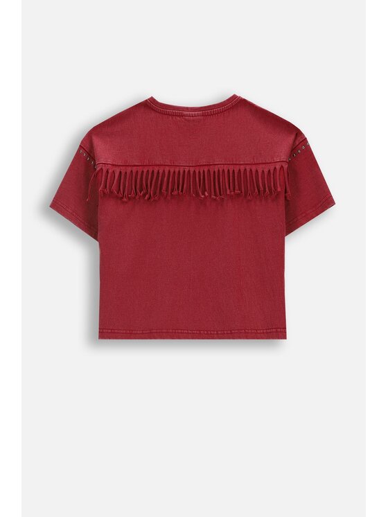 Coccodrillo Coccodrillo T-Shirt WC6143204GGJ-017 Bordó Regular Fit
