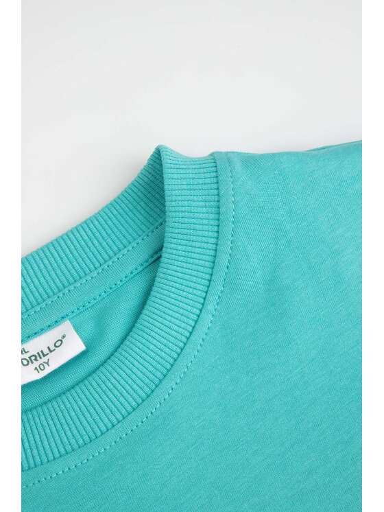 Coccodrillo Coccodrillo T-Shirt WC6143202VBB-013 Turkusowy Regular Fit