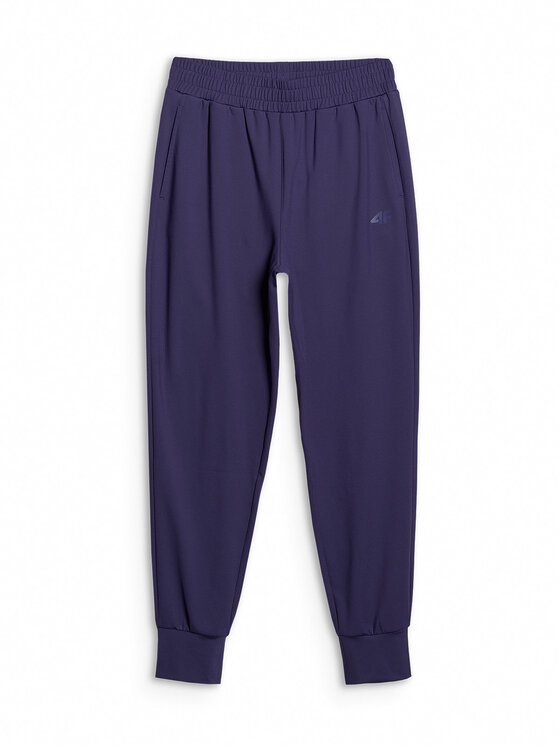4F 4F Spodnie dresowe BASIC+ Granatowy Regular Fit