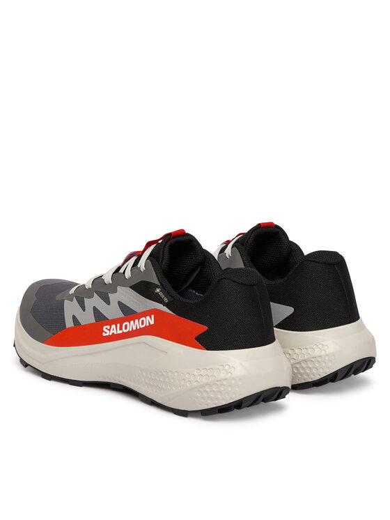 Salomon Salomon Běžecké boty Alphaglide Gore-Tex L47975300 Šedá