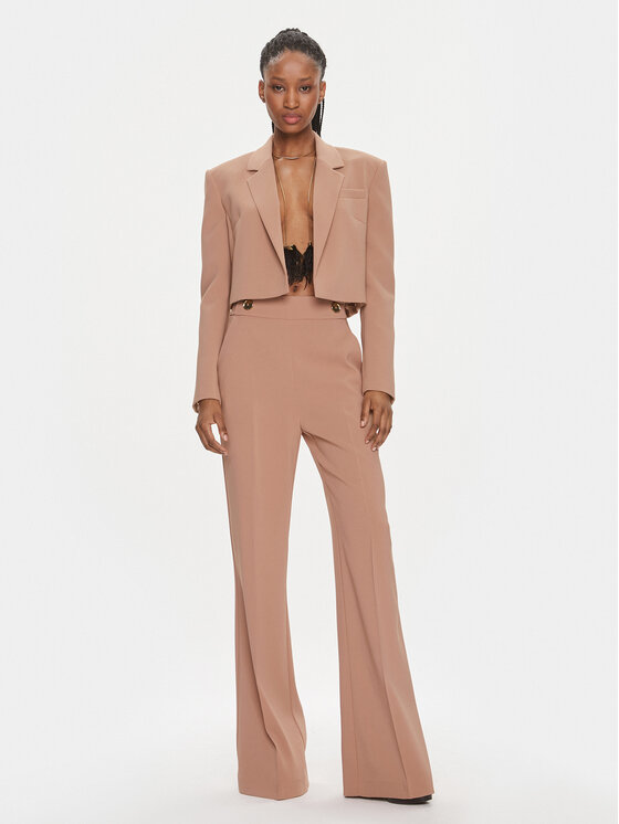 PINKO Pinko Sakoi Eliana 102603 7624 Smeđa Regular Fit